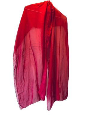 Diane Freis - Strapless Red Ombre Diane Freis Chiffon Gown